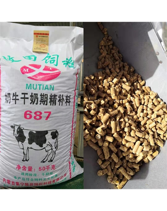 奶牛干奶期精补料687