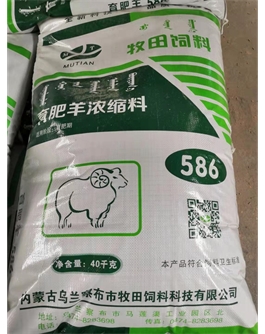 育肥羊浓缩料586